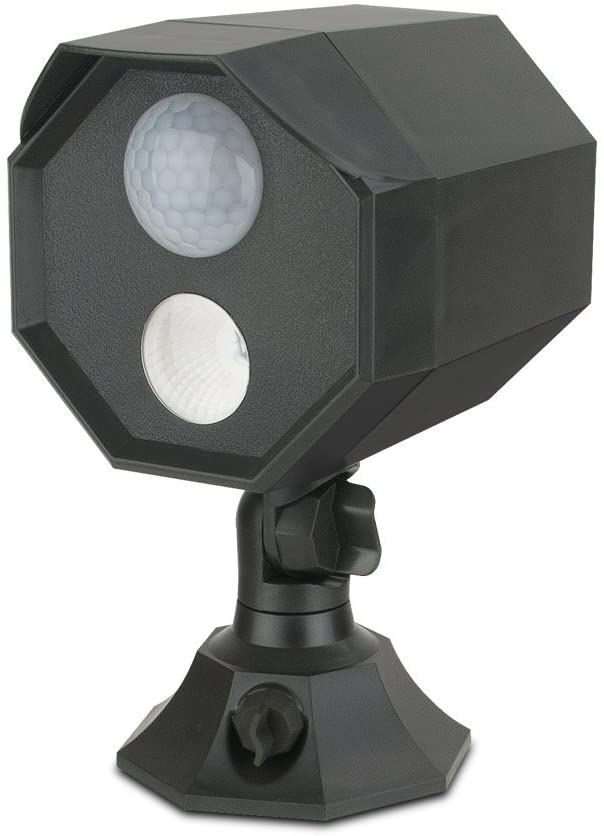 Motion Activated Battery Operated Spotlight